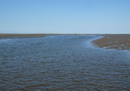 Image 21