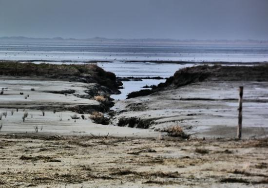 Image 34