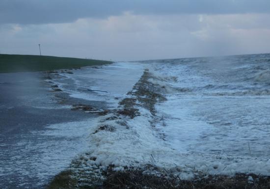 Image 32