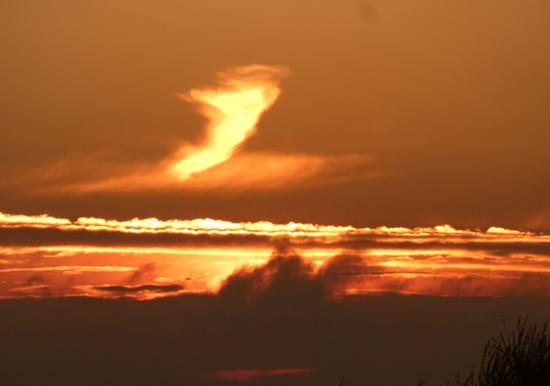Image 22