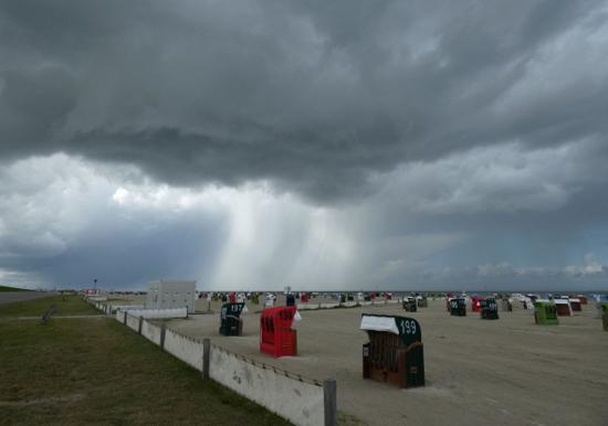 Image 41