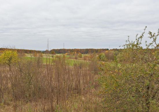 Image 18
