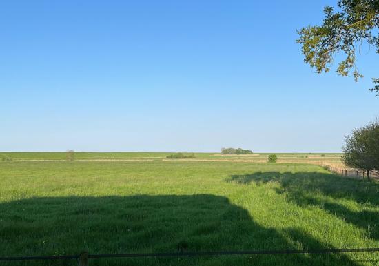 Image 28