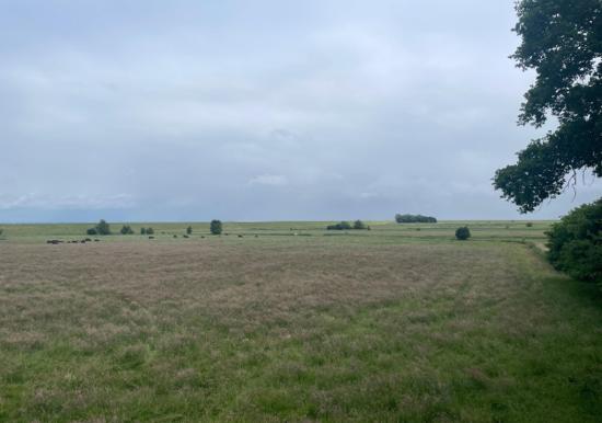 Image 33