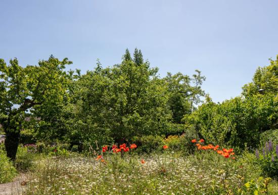 Image 23