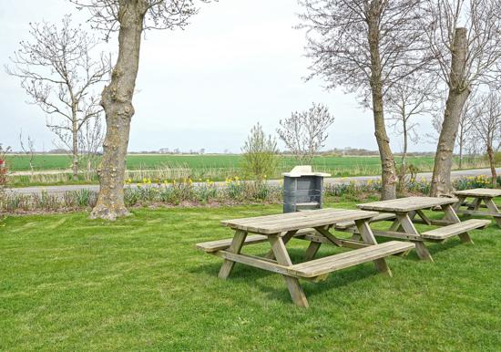 Image 16