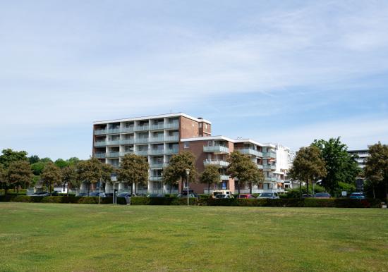 Image 29