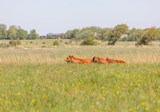 Image 34