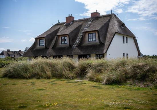 Image 13