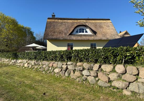 Image 35