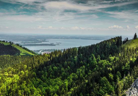 Image 26