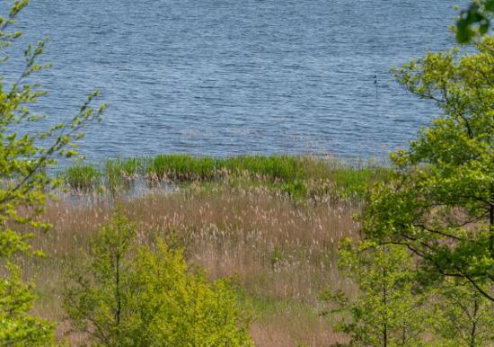 Image 33