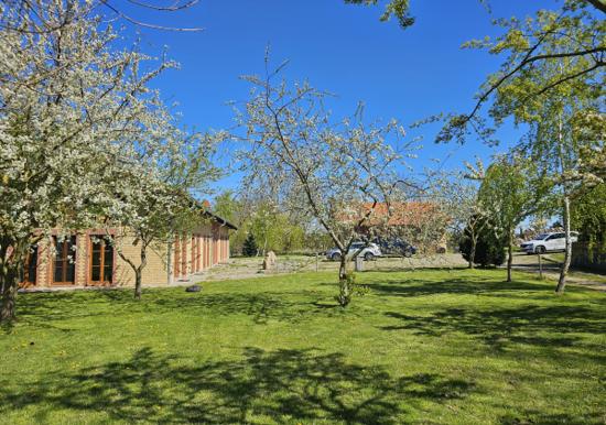 Image 27