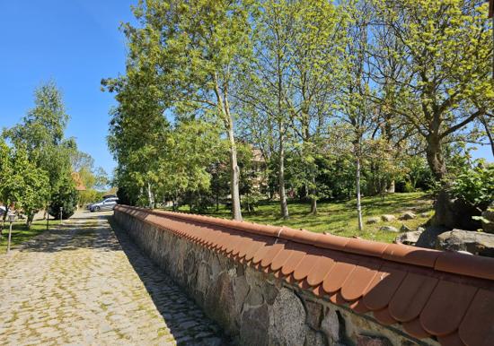 Image 31