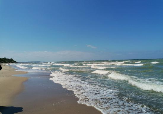 Image 37