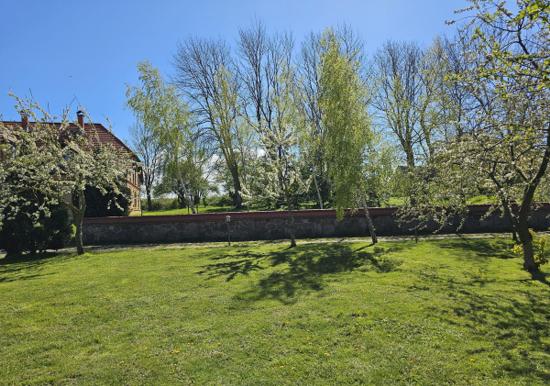 Image 20