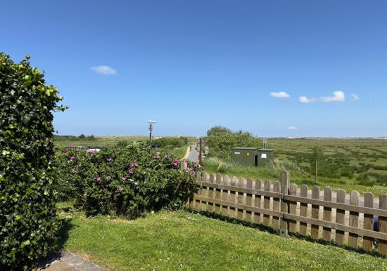 Image 25