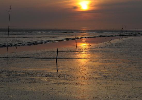 Image 24