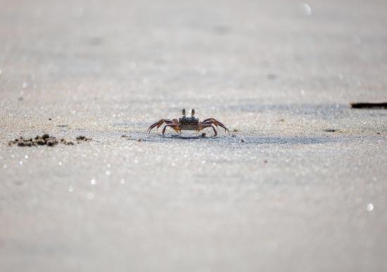 Image 18