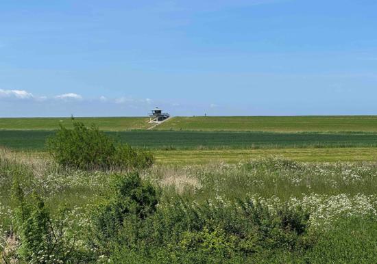 Image 21