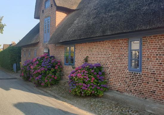 Image 26