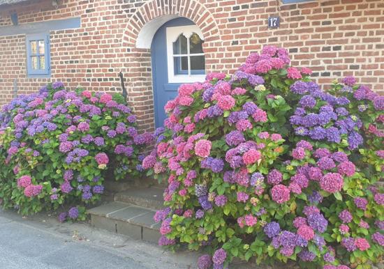 Image 27