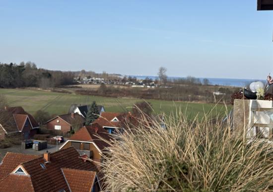 Image 32