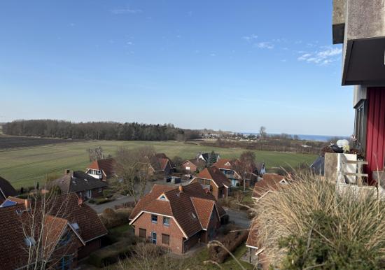 Image 36