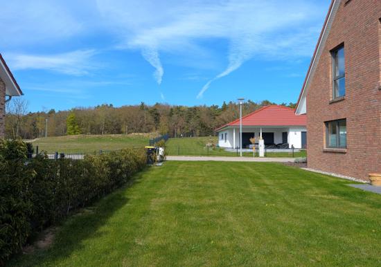 Image 75