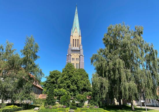 Image 14