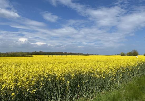 Image 32