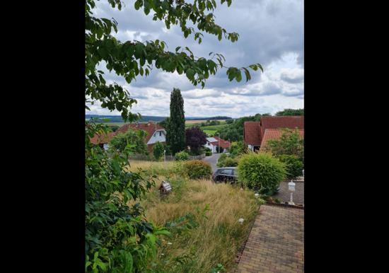 Image 14
