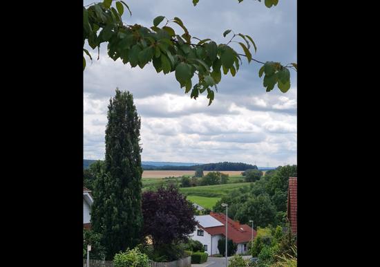 Image 15