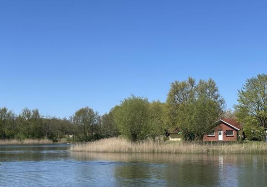 Image 35