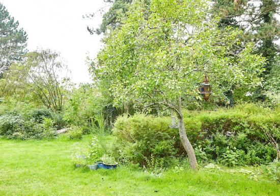 Image 29