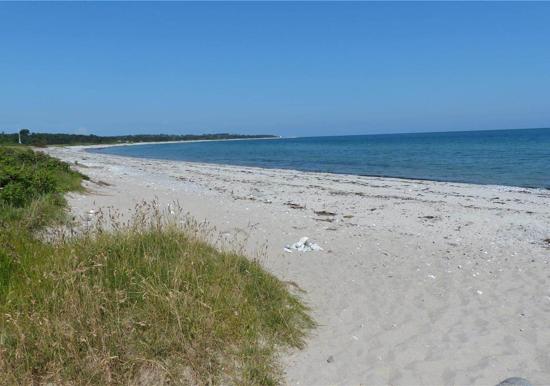 Image 32